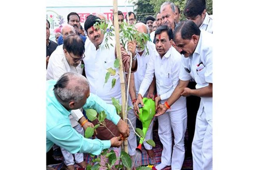 पौध&रोपण कर पेड़ बनने तक उनका संरक्षण करें &उप मुख्यमंत्री श्री देवड़ा